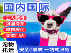 漠河古莲空运地址国际宠物托运 【国